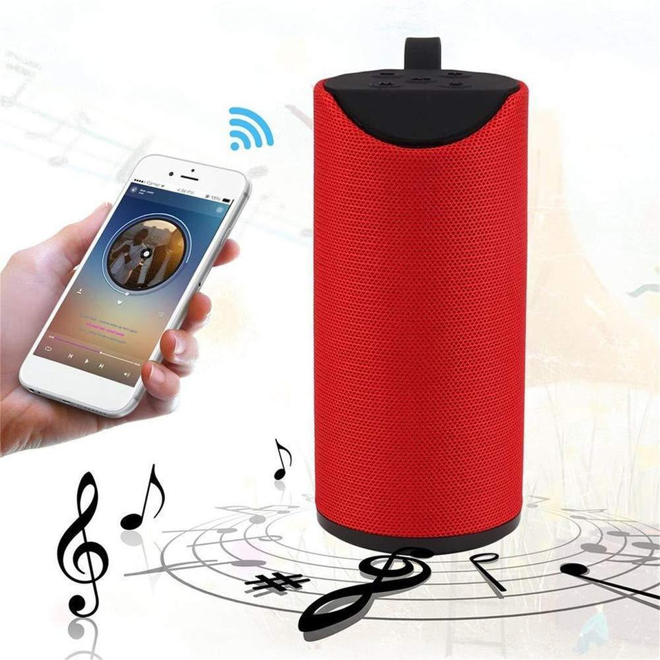 304 Wireless/Bluetooth Portable Mobile Speaker (Multicolour)