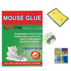 Your Brand Rodent Taps - Mouse Traps Insect Rodent Lizard Rat Catcher Adhesive Sticky Glue Pad